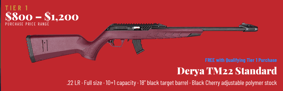 Tier 1 $800-$1,200 - Derya TM22 Standard